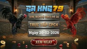 GAKING79 Xem Full Clip Da Ga Truc Tiep CPC4 Ngay 20022026 1