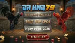 Xem Full Video Đá Gà CPC4 Ngày 14/06/2026 Tại GAKING79